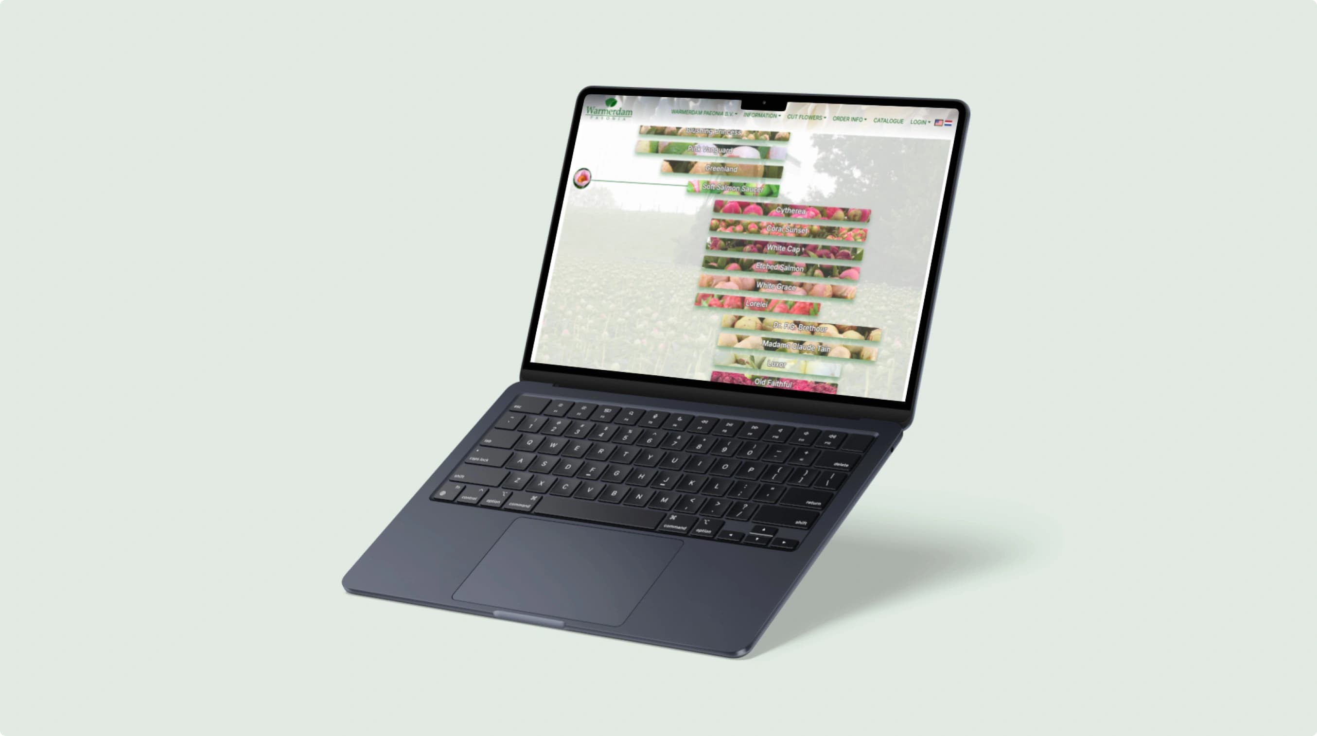 laptop Warmerdam Paeonia