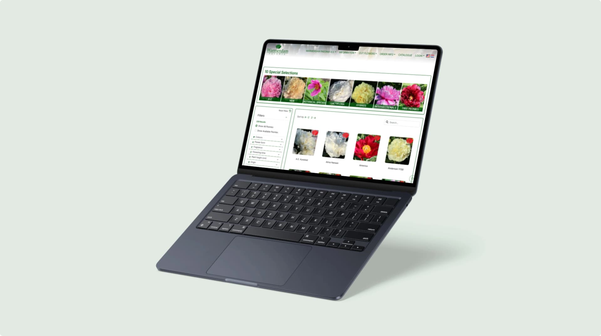 Warmerdam Paeonia op laptop