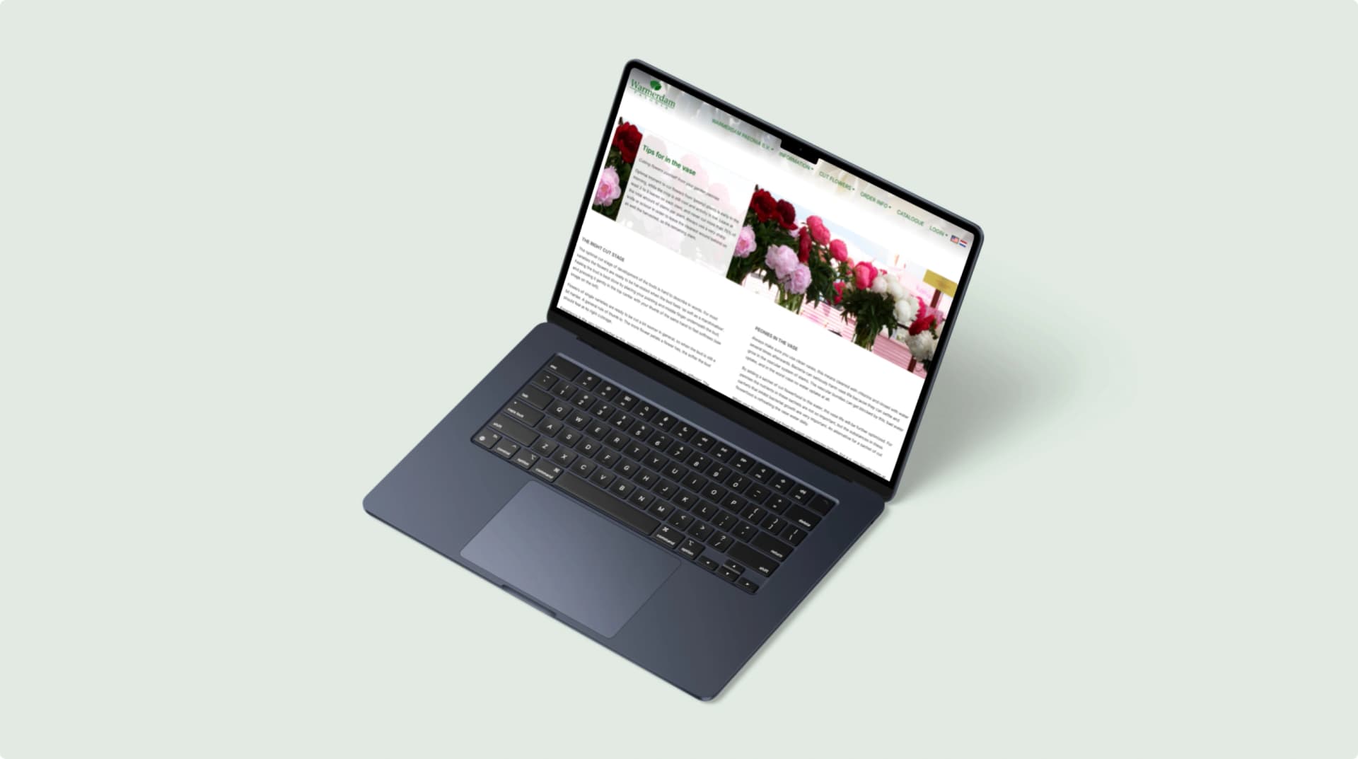 Warmerdam Paeonia op laptop