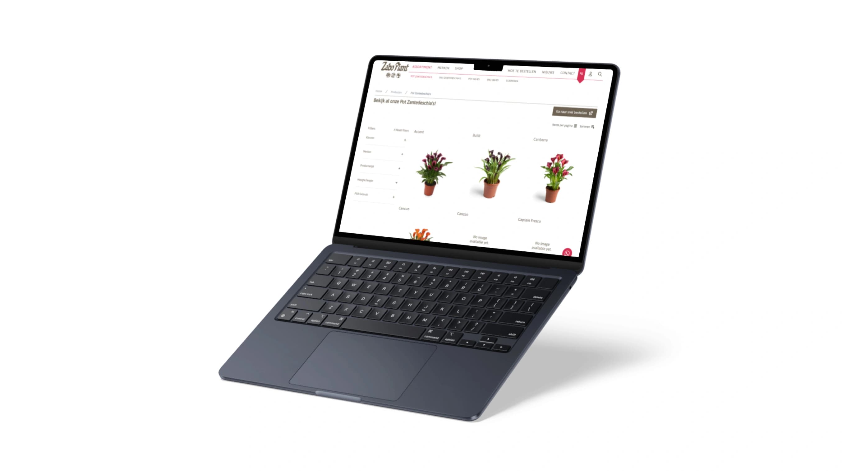 Assortiment Zabo Plant